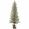 Budget ❤️ Sullivans 5'3H Frosted Pine Tree 😀 -Sullivans Sales unnamed file 2068