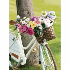 Brand new ⭐ Sullivans Anemone Stem 👏 -Sullivans Sales unnamed file 2106