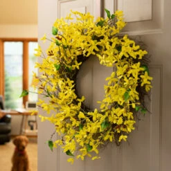 Flash Sale ✔️ Sullivans Artificial 24" Forsythia & Twig Wreath 🤩 -Sullivans Sales unnamed file 2125