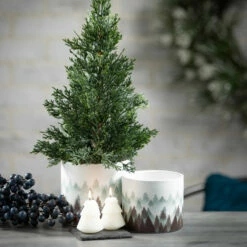 Best Sale ๐ Sullivans Artificial Cypress Trees In Gunny Sacks - Set Of 2 - 9"L X 9"W X 17.5"H; 7"L X 7"W X 14"H โ๏ธ 10 Best Sale ๐ Sullivans Artificial Cypress Trees In Gunny Sacks - Set Of 2 - 9"L X 9"W X 17.5"H; 7"L X 7"W X 14"H โ๏ธ -Sullivans Sales unnamed file 2220