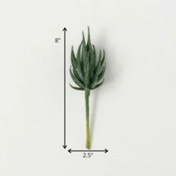 Top 10 ⭐ Sullivans Artificial Haworthia Succulent Stem 💯 7 Top 10 ⭐ Sullivans Artificial Haworthia Succulent Stem 💯 -Sullivans Sales unnamed file 2231