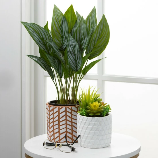 Buy 🧨 Sullivans Geometric Print Terracotta Ceramic Planter - Set Of 3 🥰 5 Buy 🧨 Sullivans Geometric Print Terracotta Ceramic Planter - Set Of 3 🥰 - Image 3