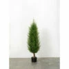 Cheapest ✨ Sullivans Cedar Arborvitae Tree - 20"L X 20"W X 4'H ⭐ 1 Cheapest ✨ Sullivans Cedar Arborvitae Tree - 20"L X 20"W X 4'H ⭐ -Sullivans Sales unnamed file 2264