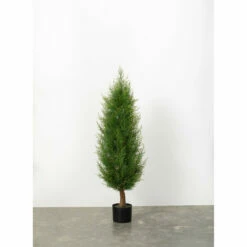 Cheapest ✨ Sullivans Cedar Arborvitae Tree - 20"L X 20"W X 4'H ⭐