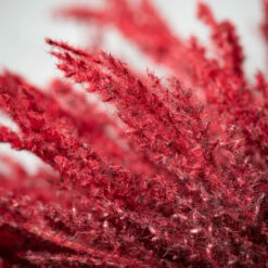 Best Sale 🎁 Sullivans 72" Artificial Red Grass Garland ✔️ -Sullivans Sales unnamed file 2325