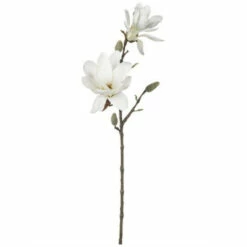 Best deal ⭐ Sullivans Magnolia Stem ✔️