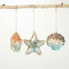 Brand new 👍 Sullivans Glass Seashells Ornament - Set Of 3 ⌛ -Sullivans Sales unnamed file 2350
