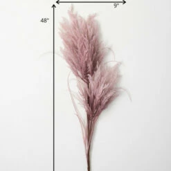 Hot Sale ๐ Sullivans Artificial Faux Dried Blush Reed Stem ๐ 7 Hot Sale ๐ Sullivans Artificial Faux Dried Blush Reed Stem ๐ -Sullivans Sales unnamed file 2403