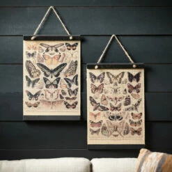 New 😍 Sullivans 16.5 In. Retro Butterfly Wall Panel - Set Of 2; Brown 👏 8 New 😍 Sullivans 16.5 In. Retro Butterfly Wall Panel - Set Of 2; Brown 👏 -Sullivans Sales unnamed file 2409