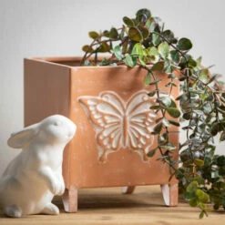 Deals 🌟 Sullivans Insect Print Square Metal Planters - Set Of 2 ⭐ -Sullivans Sales unnamed file 2464