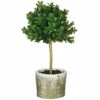 Budget 👍 Sullivans Mini Round Boxwood Topiary - Green - 6"L X 6"W X 12"H 💯 -Sullivans Sales unnamed file 2480