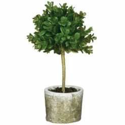 Budget 👍 Sullivans Mini Round Boxwood Topiary - Green - 6"L X 6"W X 12"H 💯