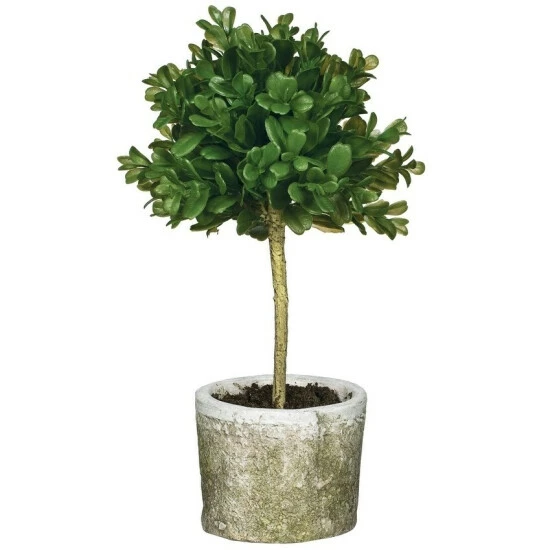 Budget ๐ Sullivans Mini Round Boxwood Topiary - Green - 6"L X 6"W X 12"H ๐ฏ 3 Budget ๐ Sullivans Mini Round Boxwood Topiary - Green - 6"L X 6"W X 12"H ๐ฏ