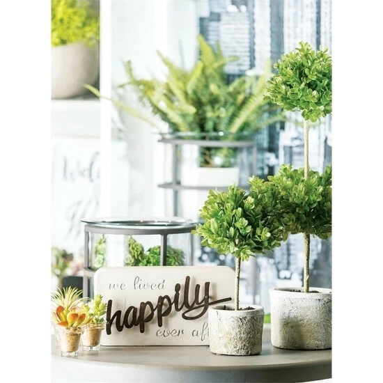 Budget ๐ Sullivans Mini Round Boxwood Topiary - Green - 6"L X 6"W X 12"H ๐ฏ 4 Budget ๐ Sullivans Mini Round Boxwood Topiary - Green - 6"L X 6"W X 12"H ๐ฏ - Image 2