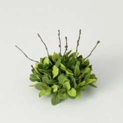 Deals 🎉 Sullivans Artificial Ruscus Leafy Twig Half Orb 👍