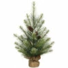 Promo π Sullivans Black Hills Pine Tree - 24" π 1 Promo π Sullivans Black Hills Pine Tree - 24" π -Sullivans Sales unnamed file 2502