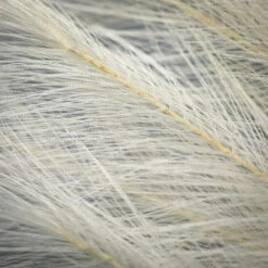 Flash Sale 🌟 Sullivans 40.5" Artificial Cream Plume Stem ⭐ -Sullivans Sales unnamed file 2509