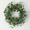 Flash Sale 🧨 Sullivans Artificial 24" Ivy Twig Wreath 🔔