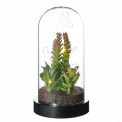 Outlet 🎉 Sullivans Succulent In Plastic Acrylic - Green ✨