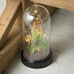 Outlet 🎉 Sullivans Succulent In Plastic Acrylic - Green ✨ -Sullivans Sales unnamed file 2545