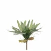 Budget ๐ Sullivans Staghorn Fern Spray - Green ๐ 1 Budget ๐ Sullivans Staghorn Fern Spray - Green ๐ -Sullivans Sales unnamed file 2550