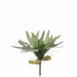 Budget 🌟 Sullivans Staghorn Fern Spray - Green 🔔