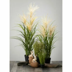 Brand new ✔️ Sullivans Potted Agave Reed 🛒 -Sullivans Sales unnamed file 2563