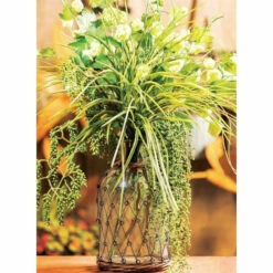 Best Pirce 🤩 Sullivans Mixed Mountain Grass Spray - Green 🎉 -Sullivans Sales unnamed file 2575