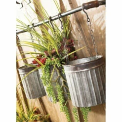 Best Pirce 🤩 Sullivans Mixed Mountain Grass Spray - Green 🎉 -Sullivans Sales unnamed file 2577