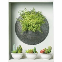 Deals ✨ Sullivans Feather Fern Half Orb ✔️