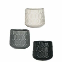 Flash Sale 🎁 Sullivans Mini Pots ✔️