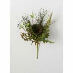 Coupon 🤩 Sullivans Nest Fern Pick 🧨