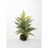 Flash Sale 🤩 Sullivans Fern In Ball - 11.5"L X 11.5"W X 16.5"H ❤️ -Sullivans Sales unnamed file 2772