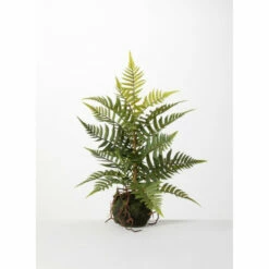 Flash Sale 🤩 Sullivans Fern In Ball - 11.5"L X 11.5"W X 16.5"H ❤️