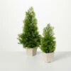 Buy 🥰 Sullivans Artificial Cedar And Berry Tree - Set Of 2 - 8"L X 8"W X 16.5"H; 5"L X 5"W X 13"H ❤️