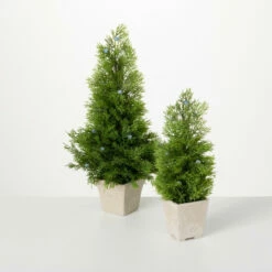 Buy 🥰 Sullivans Artificial Cedar And Berry Tree - Set Of 2 - 8"L X 8"W X 16.5"H; 5"L X 5"W X 13"H ❤️