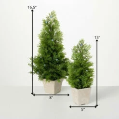 Buy 🥰 Sullivans Artificial Cedar And Berry Tree - Set Of 2 - 8"L X 8"W X 16.5"H; 5"L X 5"W X 13"H ❤️ -Sullivans Sales unnamed file 2847