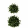Best Pirce ✔️ Sullivans Boxwood Orbs - Set Of 2 🎁