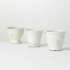 Best reviews of 🤩 Sullivans Small White Ceramic Distressed Pot - Set Of 3 🔔 -Sullivans Sales unnamed file 286