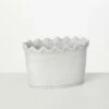 Flash Sale 😍 Sullivans Scalloped Edge Dish Garden Ceramic Planter ⭐ -Sullivans Sales unnamed file 2865