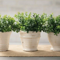 Best reviews of 🤩 Sullivans Small White Ceramic Distressed Pot - Set Of 3 🔔 -Sullivans Sales unnamed file 290