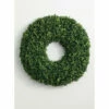 Cheapest ⌛ Sullivans Boxwood Wreath 👍 -Sullivans Sales unnamed file 296