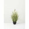 Budget 🎁 Sullivans Potted Wild Grass - 20"L X 20"W X 24"H 🔔 -Sullivans Sales unnamed file 2992