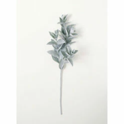 Coupon 💯 Sullivans Lambs Ear Spray - Green 👏