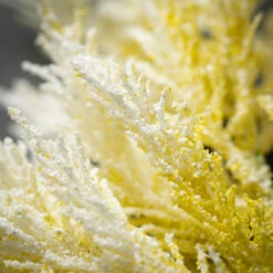 Best deal 🎁 Sullivans Artificial Yellow Cream Astilbe Stem 👍 -Sullivans Sales unnamed file 3126