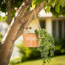 Buy 🌟 Sullivans Insect Print Hanging Metal Planter - Set Of 2 😀 -Sullivans Sales unnamed file 3212