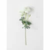 Outlet 🎁 Sullivans Real Garden Ranunculus Stem - 6"L X 3"W X 21.5"H 🔥 -Sullivans Sales unnamed file 3241