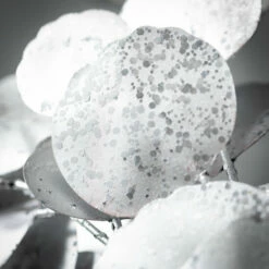 Cheap 🎉 Sullivans 51" Artificial Sheer Silver-Dollar Garland - Silver ✔️ -Sullivans Sales unnamed file 3251