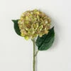 Best deal 🤩 Sullivans 22" Artificial Gold Green Flowering Hydrangea 😍 -Sullivans Sales unnamed file 3253