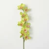 Budget ❤️ Sullivans Artificial Lime Green Cybmidum Orchid 👍 -Sullivans Sales unnamed file 3267